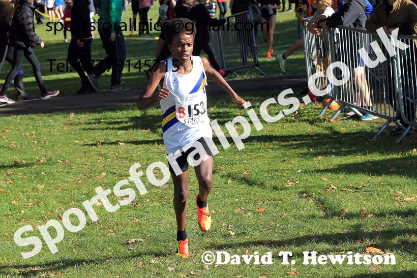 Boys under-15s 2022 Northern Cross Country Relays, Graves Park, Sheffield. Photo: David T. Hewitson/Sports for All Pics